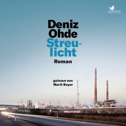 Deniz Ohde - Streulicht