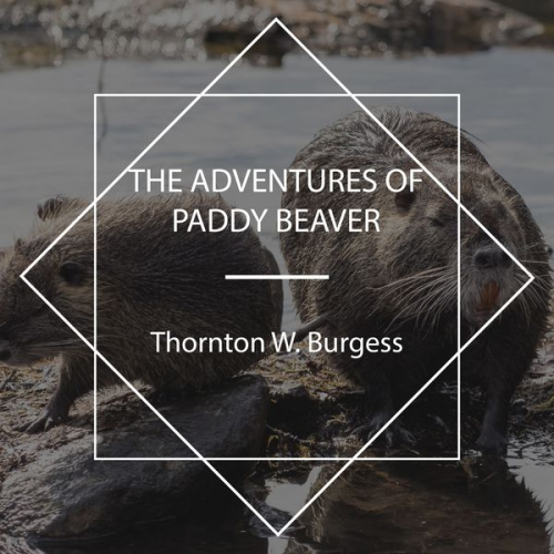 Thornton W. Burgess - The Adventures of Paddy Beaver