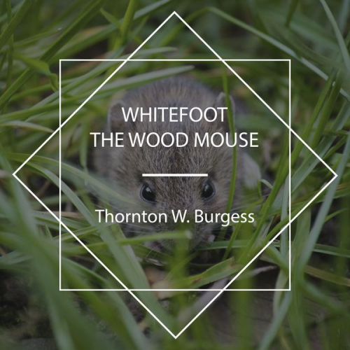 Thornton W. Burgess - Whitefoot the Wood Mouse