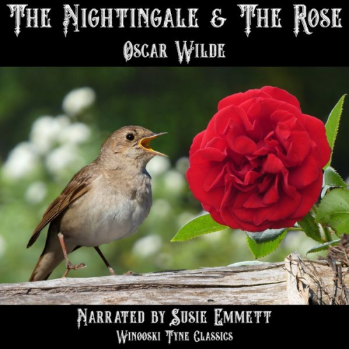 Oscar Wilde - The Nightingale & the Rose