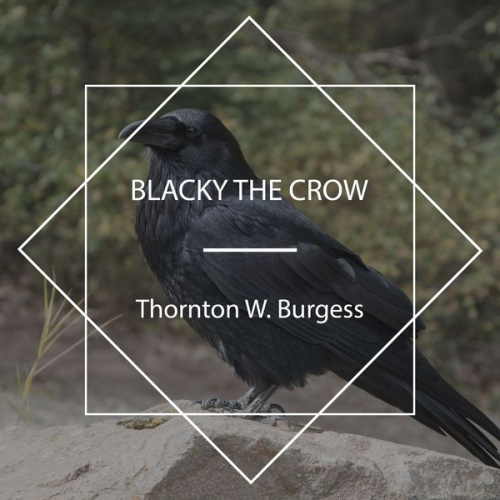 Thornton W. Burgess - Blacky the Crow