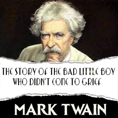 Mark Twain - The Story of the Bad Little Boy Who Didn't Come to Grief