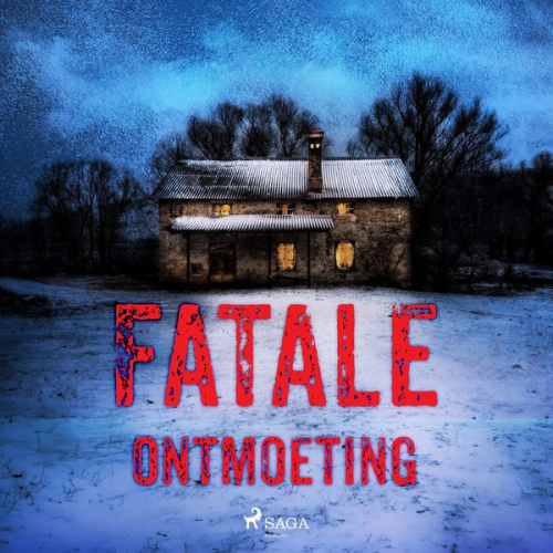 Roan Botman Karel Bedert Lisanne Stokreef Alexander Olbrechts - Fatale ontmoeting