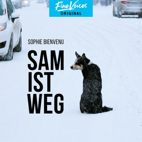 Sophie Bienvenu - Sam ist weg