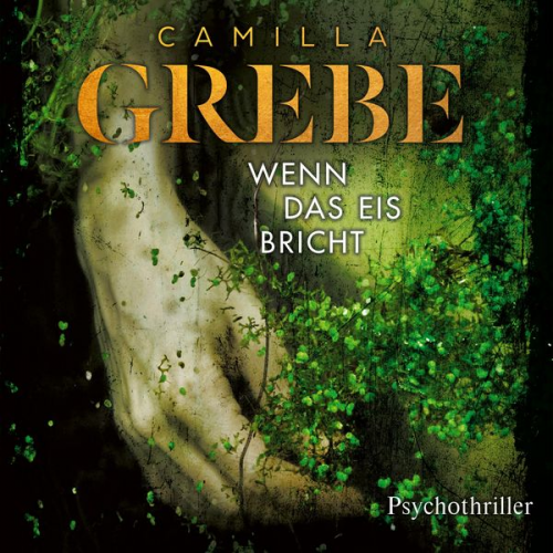 Camilla Grebe - Wenn das Eis bricht