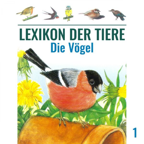 Mik Berger - Die Vögel