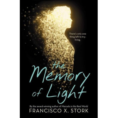 Francisco X. Stork - The the Memory of Light