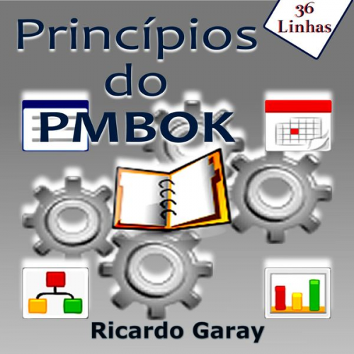 Ricardo Garay - Princípios do PMBOK