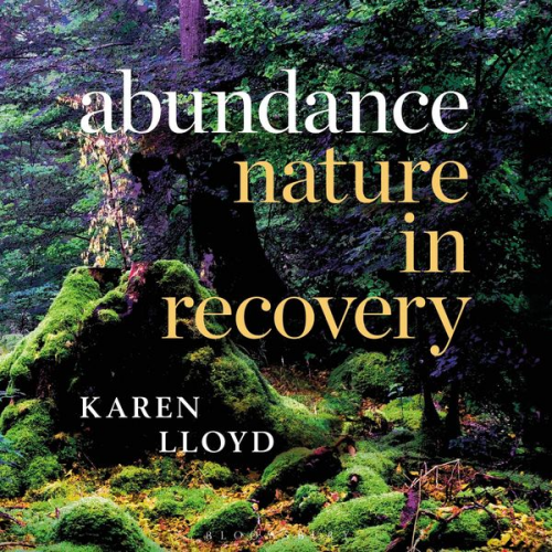 Karen Lloyd - Abundance