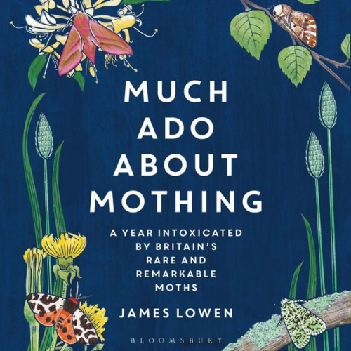 James Lowen - Much Ado About Mothing