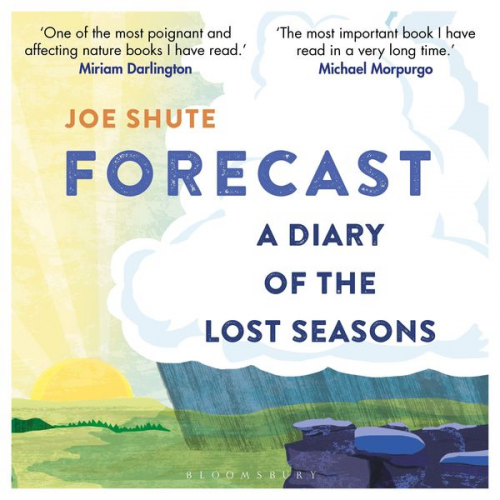 Joe Shute - Forecast