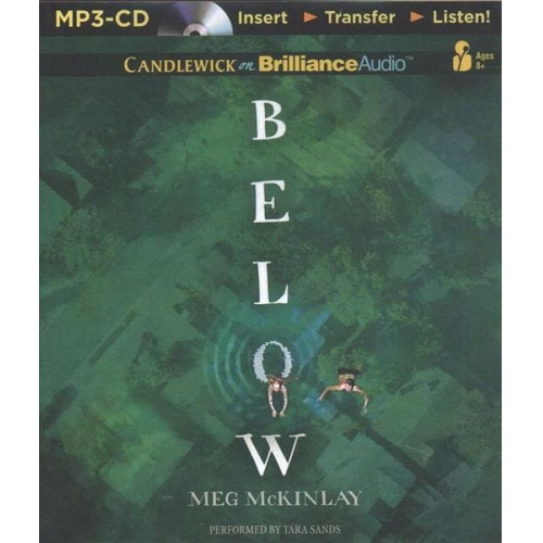 Meg McKinlay - Below