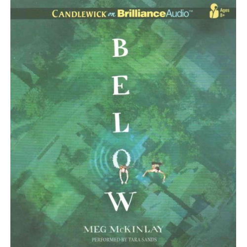 Meg McKinlay - Below