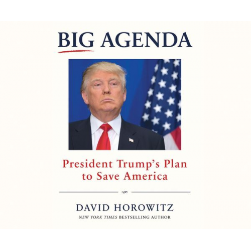 David Horowitz - BIG AGENDA                  4D