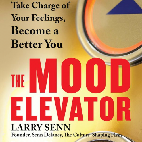 Larry Senn - The Mood Elevator