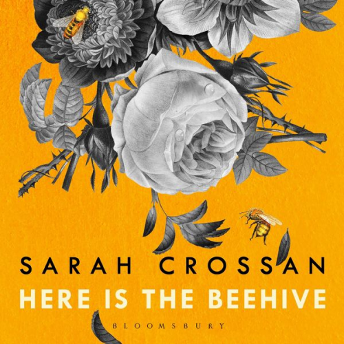 Sarah Crossan - Here is the Beehive