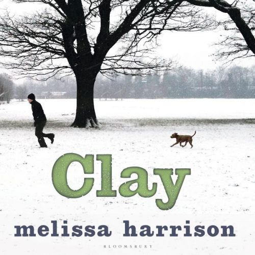 Melissa Harrison - Clay