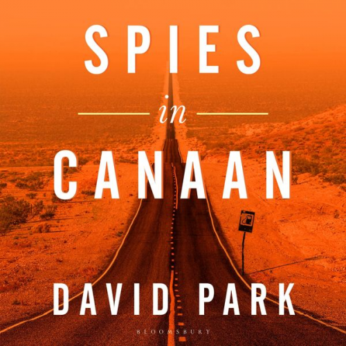 David Park - Spies in Canaan