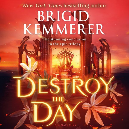 Brigid Kemmerer - Destroy the Day