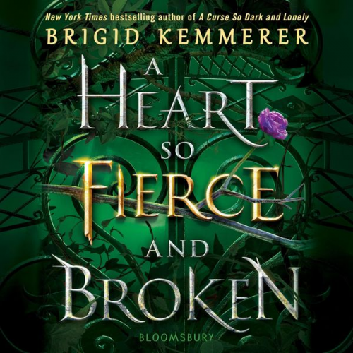 Brigid Kemmerer - A Heart So Fierce and Broken