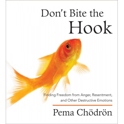 Pema Chodron - Don't Bite the Hook: Finding Freedom from Anger, Resentment, and Other Destructive Emotions