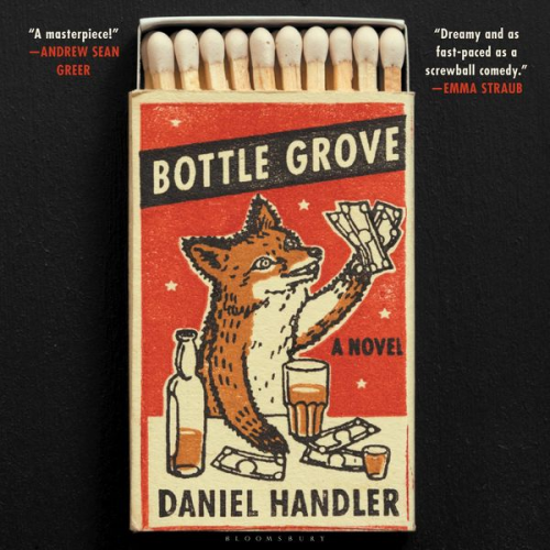 Daniel Handler - Bottle Grove