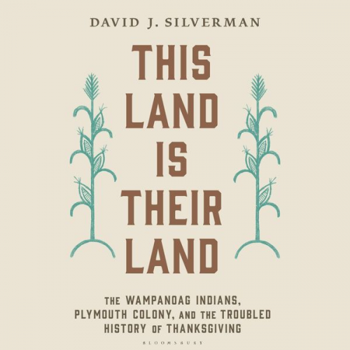 David J. Silverman - This Land Is Their Land