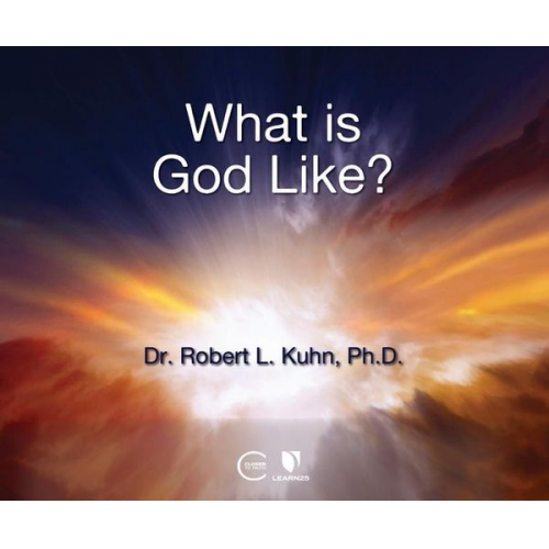 Robert Lawrence Kuhn - What Is God Like?