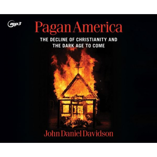 John Daniel Davidson - Pagan America