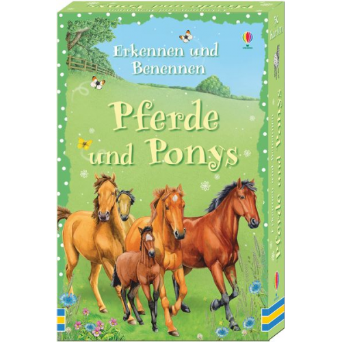 Erkennen und Benennen: Pferde und Ponys