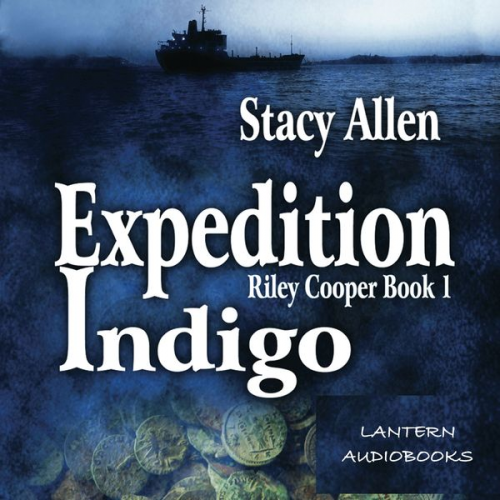 Stacy Allen - Expedition Indigo