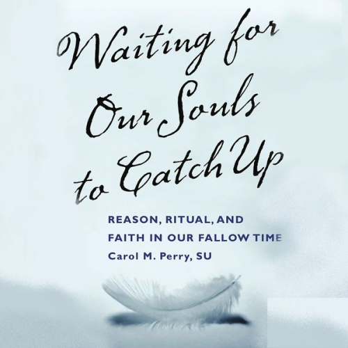 Carol M. Perry Su - Waiting for our Souls to Catch Up