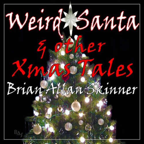 Brian Allan Skinner - Weird Santa