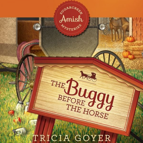 Tricia Goyer - The Buggy Before the Horse