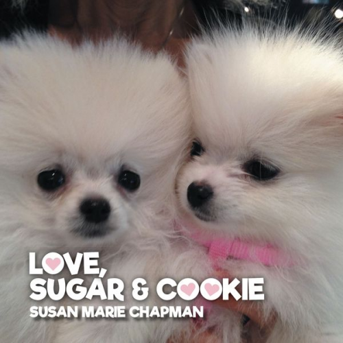 Susan Marie Chapman - Love, Sugar and Cookie