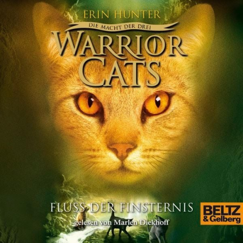 Erin Hunter Warrior Cats - Warrior Cats - Die Macht der drei. Fluss der Finsternis