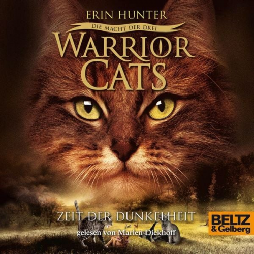 Erin Hunter Warrior Cats - Warrior Cats - Die Macht der drei. Zeit der Dunkelheit