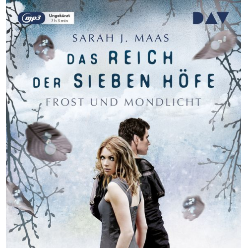 Sarah J. Maas - Das Reich der sieben Höfe – Teil 4: Frost und Mondlicht