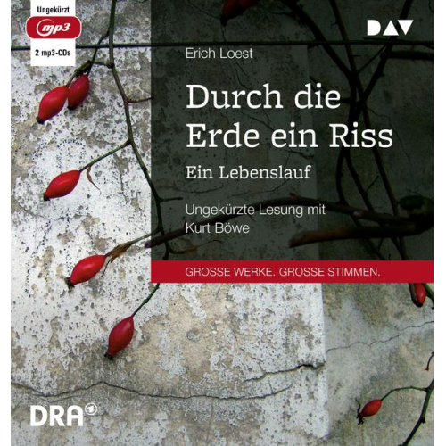 Erich Loest - Durch die Erde ein Riss – Ein Lebenslauf