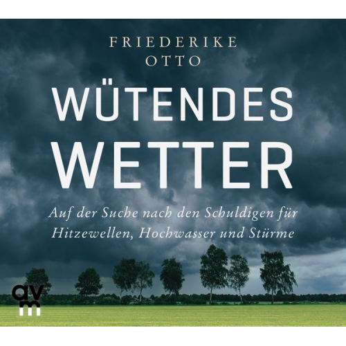 Friederike Otto - Wütendes Wetter