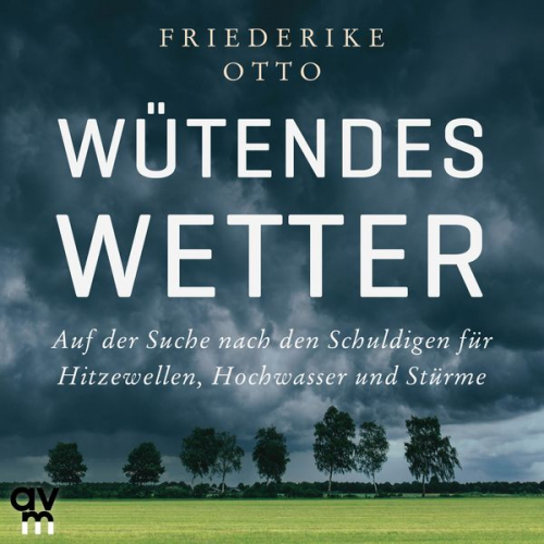 Friederike Otto - Wütendes Wetter