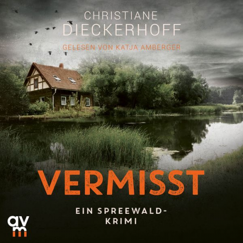 Christiane Dieckerhoff - Vermisst