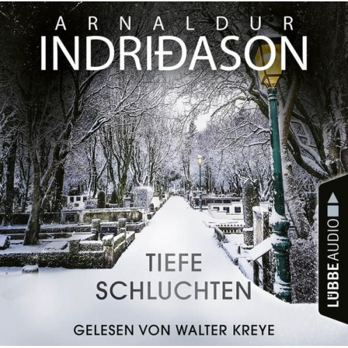 Arnaldur Indriðason - Tiefe Schluchten