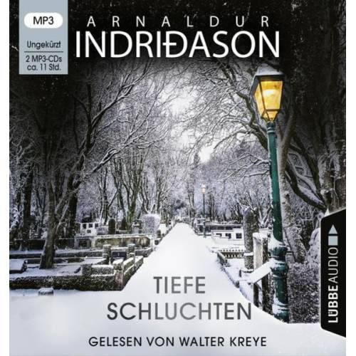 Arnaldur Indriðason - Tiefe Schluchten