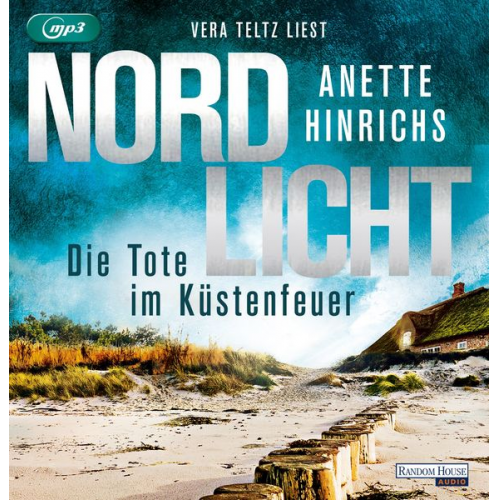 Anette Hinrichs - Nordlicht - Die Tote im Küstenfeuer