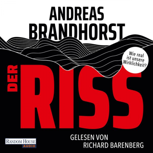 Andreas Brandhorst - Der Riss