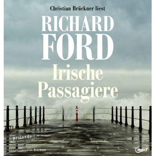 Richard Ford - Irische Passagiere