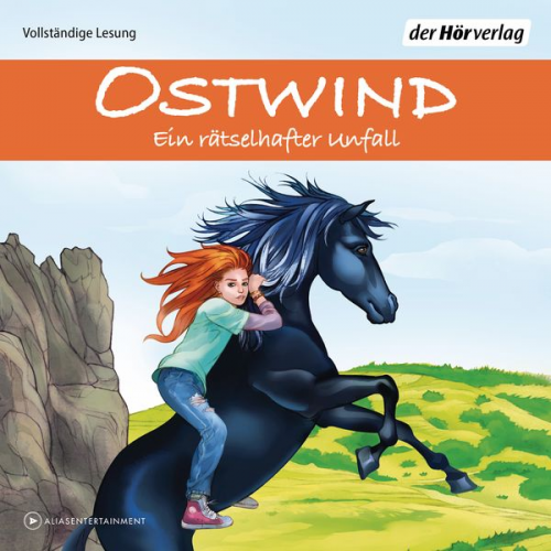 Rosa Schwarz - Ostwind - Ein rätselhafter Unfall