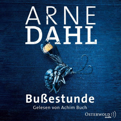 Arne Dahl - Bußestunde