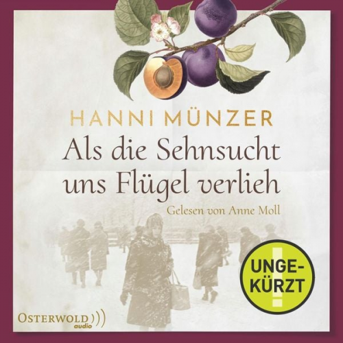 Hanni Münzer - Als die Sehnsucht uns Flügel verlieh (Heimat-Saga 2)